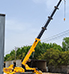SM-T5 spider crane