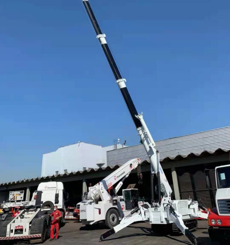 SS 10.0 spider crane